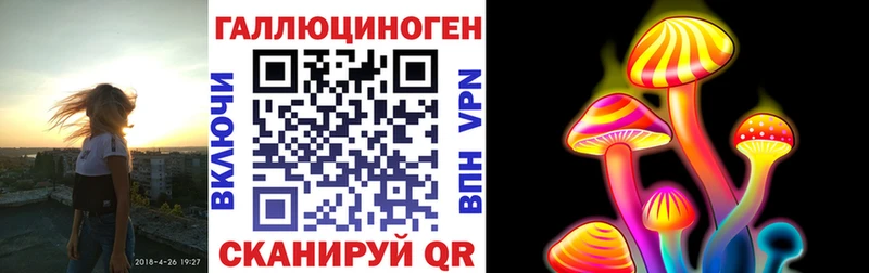 Купить закладки Чегем Галлюциногенные грибы мухоморы